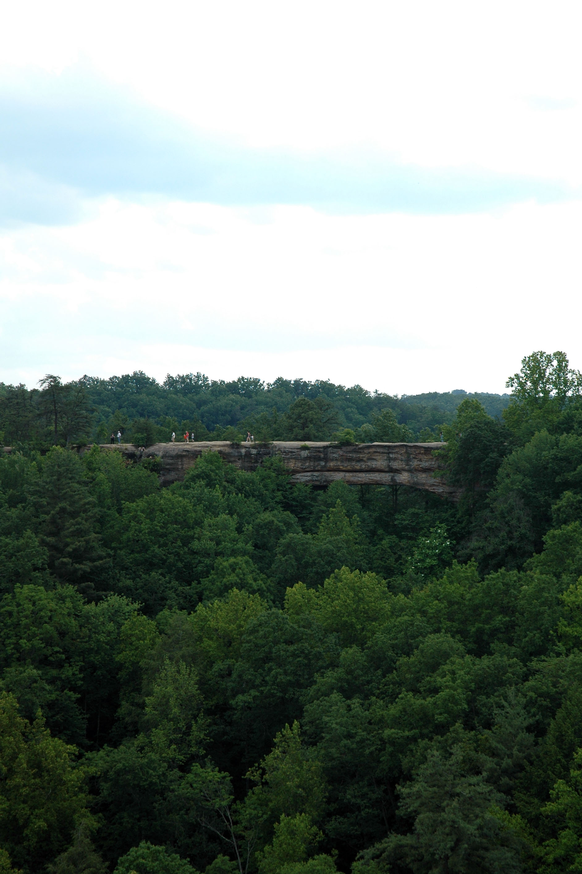 From the Distance